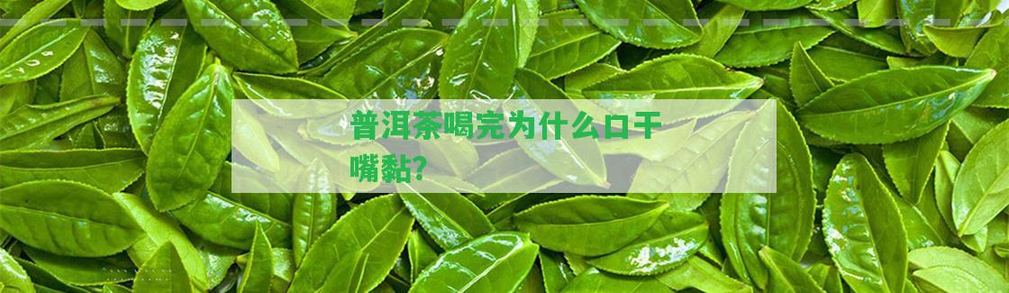 普洱茶喝完為什么口干嘴黏？