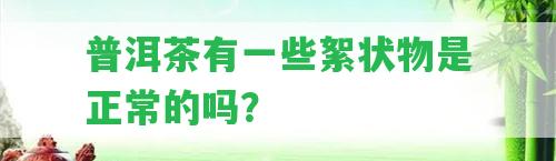 普洱茶有部分絮狀物是正常的嗎？