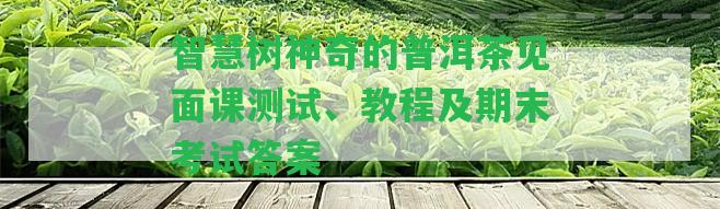 智慧樹神奇的普洱茶見面課測(cè)試、教程及期末考試答案