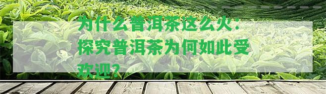 為什么普洱茶這么火：探究普洱茶為何如此受歡迎？