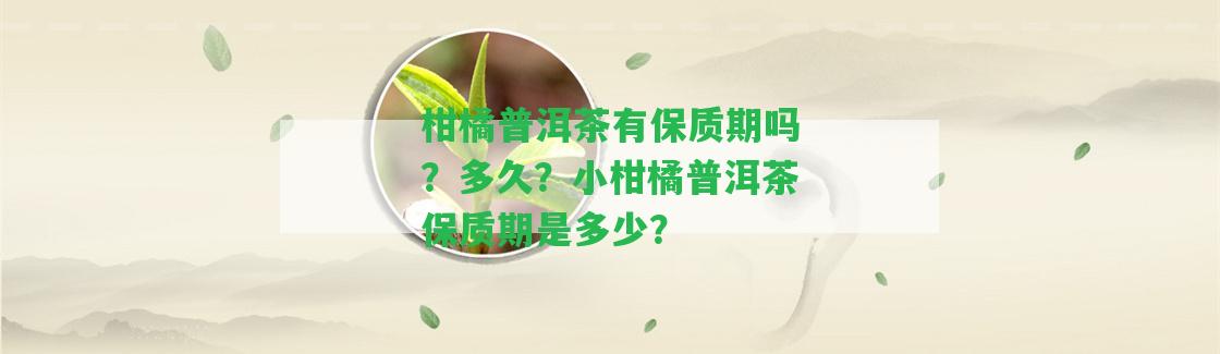 柑橘普洱茶有保質(zhì)期嗎？多久？小柑橘普洱茶保質(zhì)期是多少？