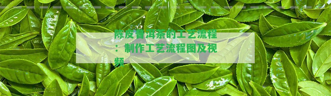 陳皮普洱茶的工藝流程：制作工藝流程圖及視頻