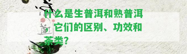 什么是生普洱和熟普洱，它們的區(qū)別、功效和茶類？