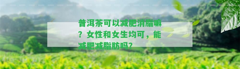 普洱茶可以減肥消脂嘛？女性和女生均可，能減肥減脂肪嗎？