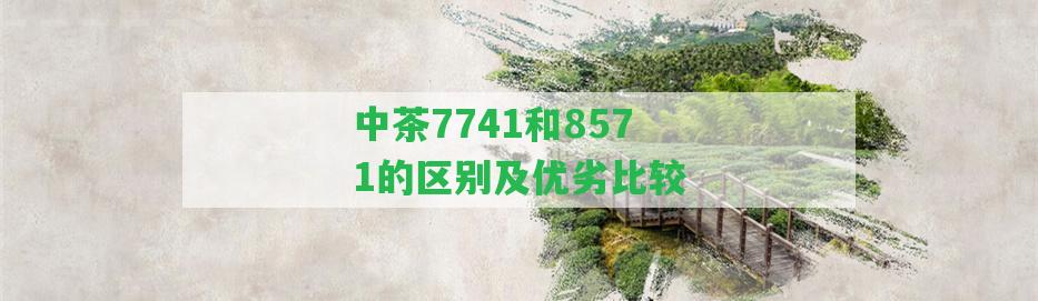 中茶7741和8571的區(qū)別及優(yōu)劣比較