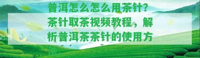 普洱怎么怎么用茶針？茶針取茶視頻教程，解析普洱茶茶針的采用方法。