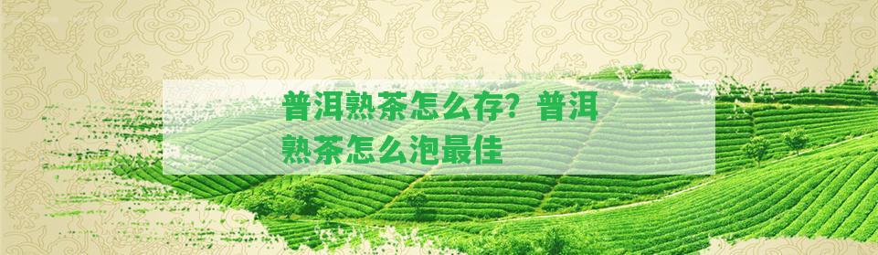 普洱熟茶怎么存？普洱熟茶怎么泡最佳