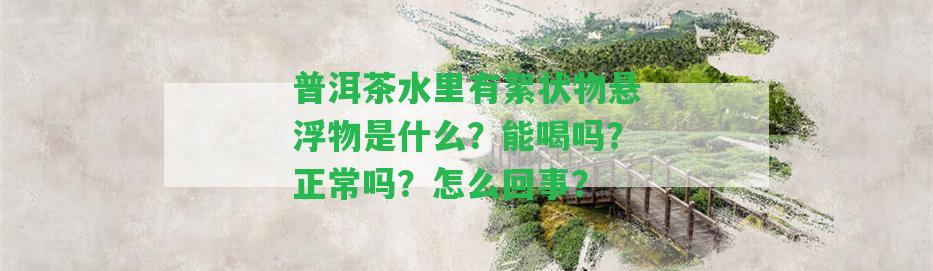 普洱茶水里有絮狀物懸浮物是什么？能喝嗎？正常嗎？怎么回事？