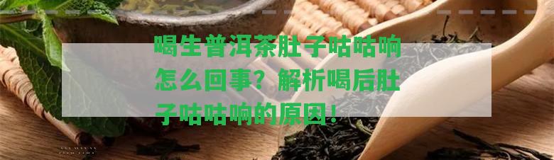 喝生普洱茶肚子咕咕響怎么回事？解析喝后肚子咕咕響的起因！