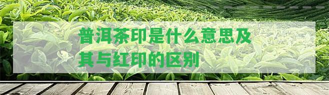 普洱茶印是什么意思及其與紅印的區(qū)別