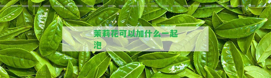 茉莉花可以加什么一起泡