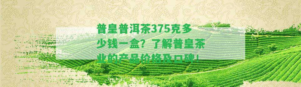 普皇普洱茶375克多少錢一盒？熟悉普皇茶業(yè)的產(chǎn)品價(jià)格及口碑！