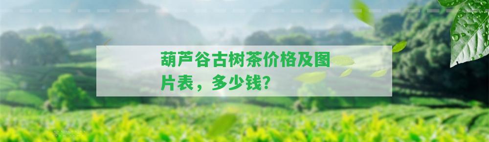 葫蘆谷古樹茶價(jià)格及圖片表，多少錢？