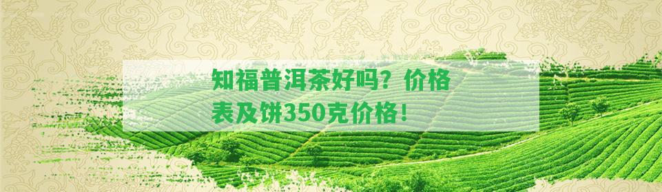 知福普洱茶好嗎？價格表及餅350克價格！