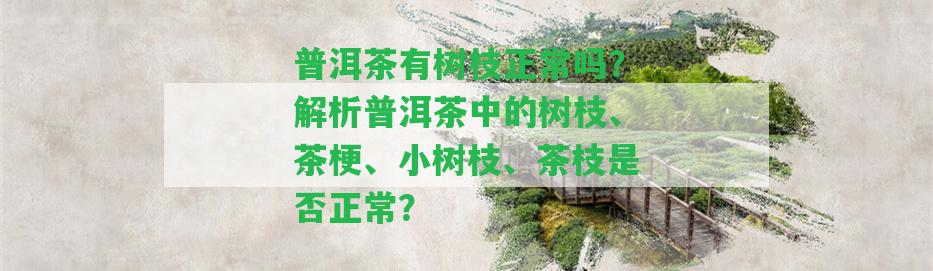 普洱茶有樹枝正常嗎？解析普洱茶中的樹枝、茶梗、小樹枝、茶枝是不是正常？