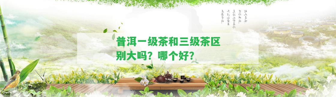 普洱一級(jí)茶和三級(jí)茶區(qū)別大嗎？哪個(gè)好？