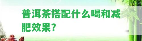 普洱茶搭配什么喝和減肥效果？