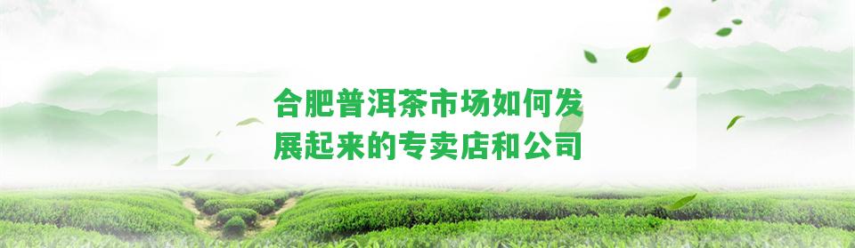 合肥普洱茶市場怎樣發(fā)展起來的專賣店和公司