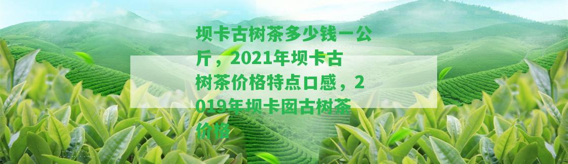 壩卡古樹(shù)茶多少錢(qián)一公斤，2021年壩卡古樹(shù)茶價(jià)格特點(diǎn)口感，2019年壩卡囡古樹(shù)茶價(jià)格