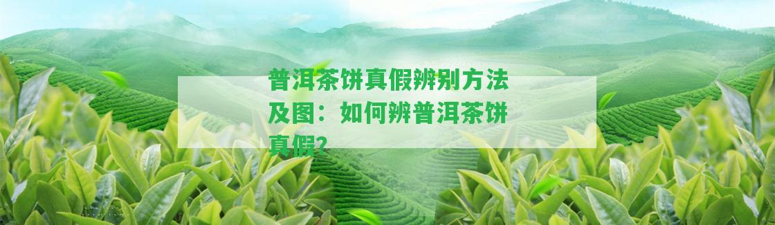 普洱茶餅真假辨別方法及圖：怎樣辨普洱茶餅真假？