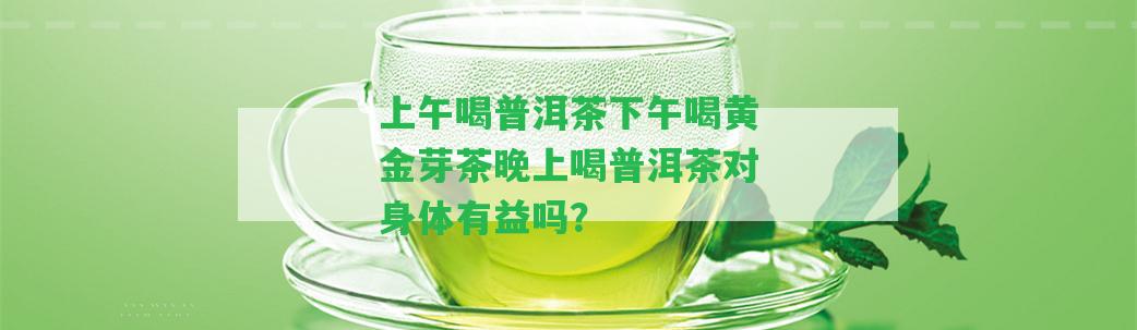 上午喝普洱茶下午喝黃金芽茶晚上喝普洱茶對(duì)身體有益嗎？