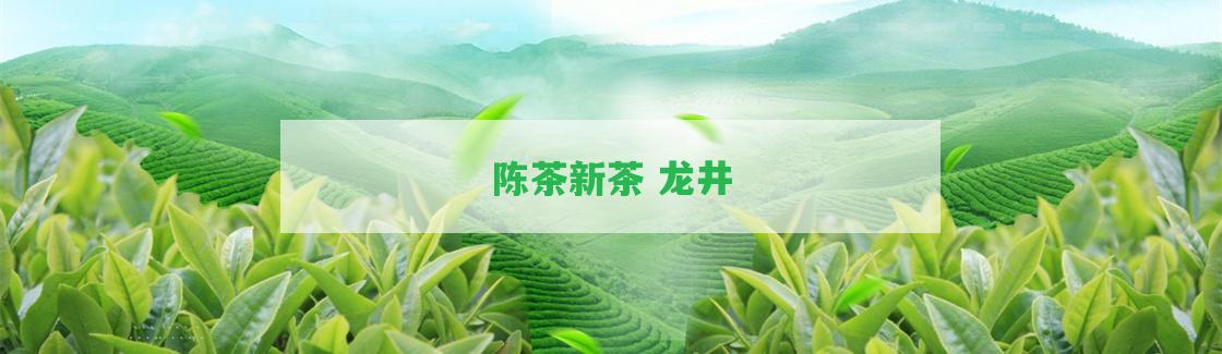 陳茶新茶 龍井