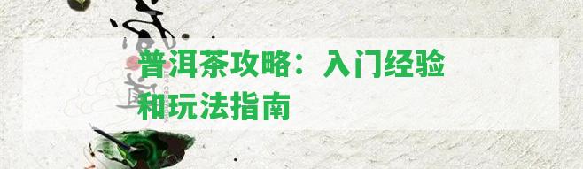 普洱茶攻略：入門經(jīng)驗(yàn)和玩法指南