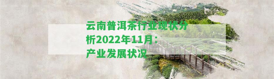 云南普洱茶行業(yè)現(xiàn)狀分析2022年11月：產(chǎn)業(yè)發(fā)展?fàn)顩r