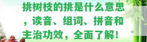 挑樹枝的挑是什么意思，讀音、組詞、拼音和主治功效，全面熟悉！