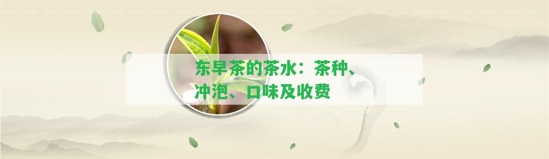 東早茶的茶水：茶種、沖泡、口味及收費