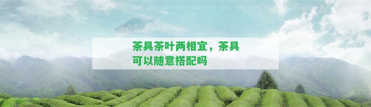 茶具茶葉兩相宜，茶具可以隨意搭配嗎