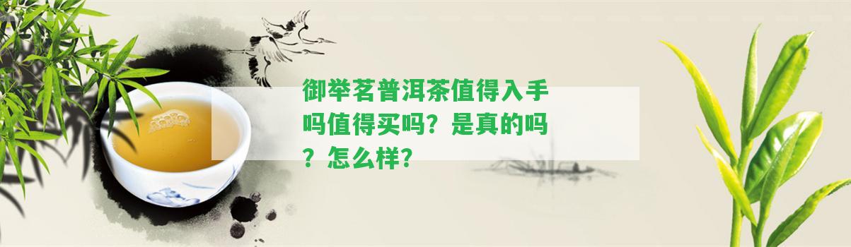 御舉茗普洱茶值得入手嗎值得買嗎？是真的嗎？怎么樣？