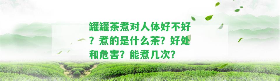 罐罐茶煮對(duì)人體好不好？煮的是什么茶？好處和危害？能煮幾次？