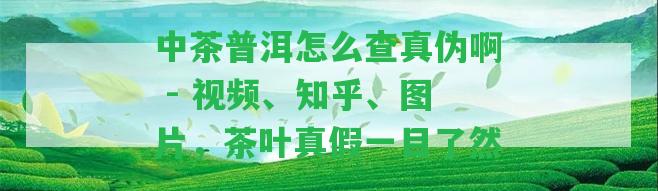 中茶普洱怎么查真?zhèn)伟?- 視頻、知乎、圖片，茶葉真假一目了然