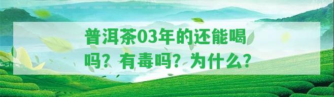 普洱茶03年的還能喝嗎？有毒嗎？為什么？