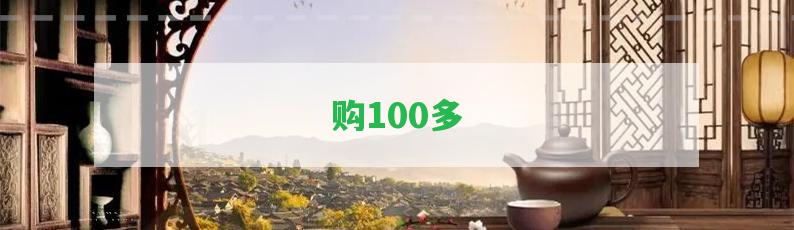 購(gòu)100多