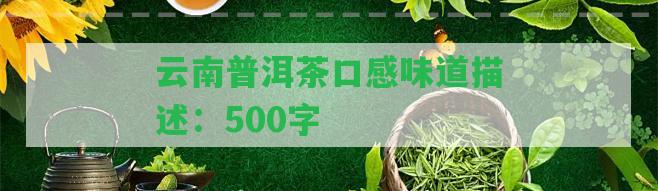 云南普洱茶口感味道描述：500字