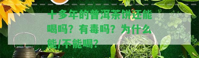 十多年的普洱茶餅還能喝嗎？有毒嗎？為什么能/不能喝？