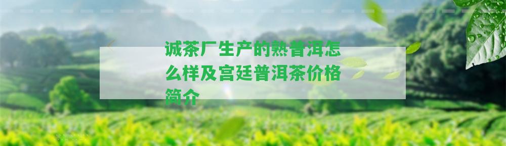 誠茶廠生產(chǎn)的熟普洱怎么樣及宮廷普洱茶價格簡介