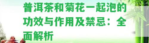 普洱茶和菊花一起泡的功效與作用及禁忌：全面解析