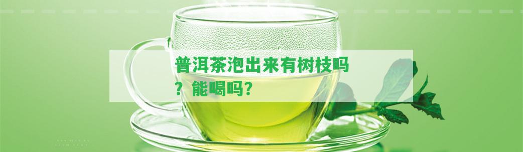 普洱茶泡出來有樹枝嗎？能喝嗎？