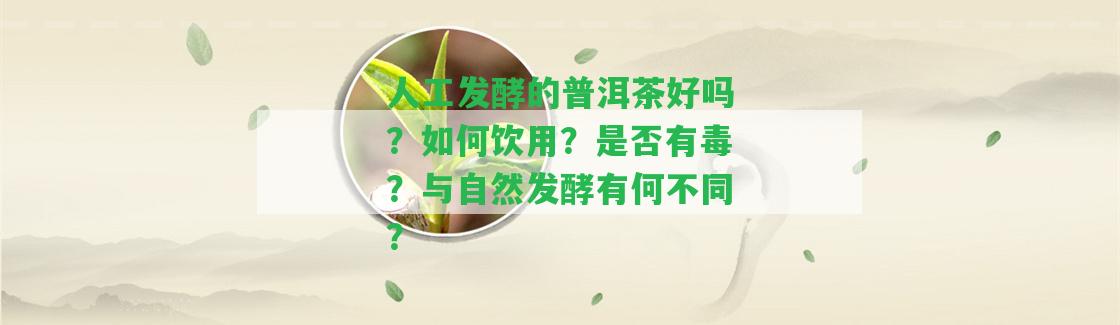 人工發(fā)酵的普洱茶好嗎？怎樣飲用？是不是有毒？與自然發(fā)酵有何不同？