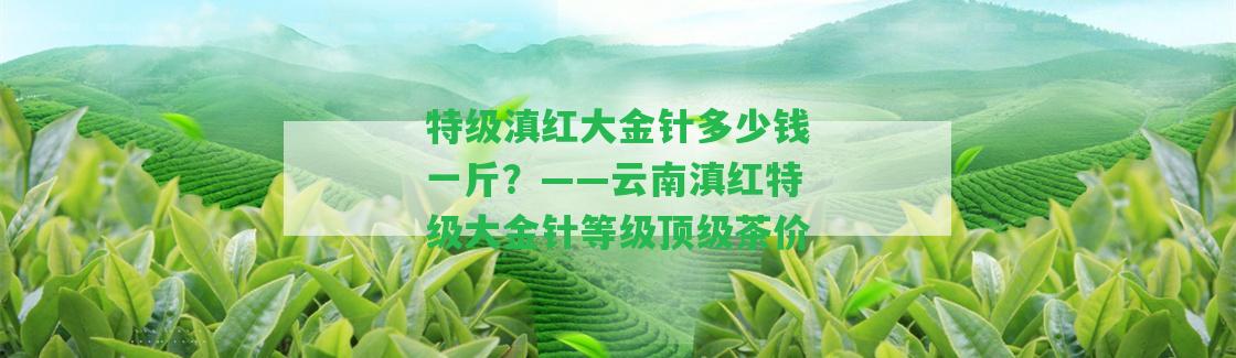 特級滇紅大金針多少錢一斤？——云南滇紅特級大金針等級頂級茶價