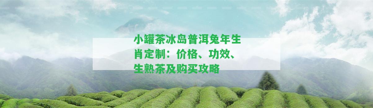 小罐茶冰島普洱兔年定制：價(jià)格、功效、生熟茶及購買(mǎi)攻略