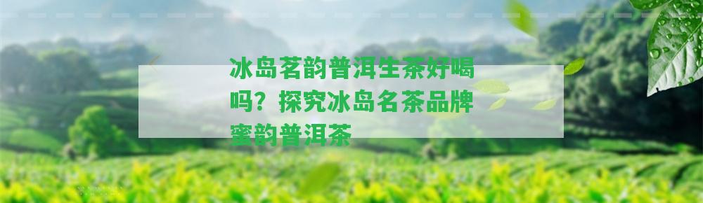 冰島茗韻普洱生茶好喝嗎？探究冰島名茶品牌蜜韻普洱茶