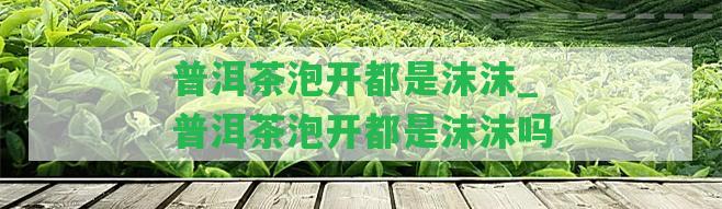 普洱茶泡開都是沫沫_普洱茶泡開都是沫沫嗎