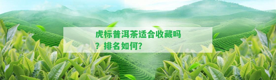 虎標普洱茶適合收藏嗎？排名怎樣？