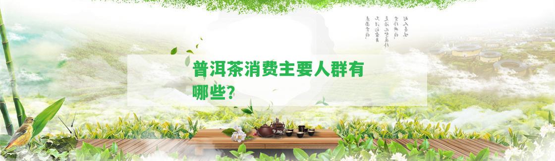 普洱茶消費(fèi)主要人群有哪些？