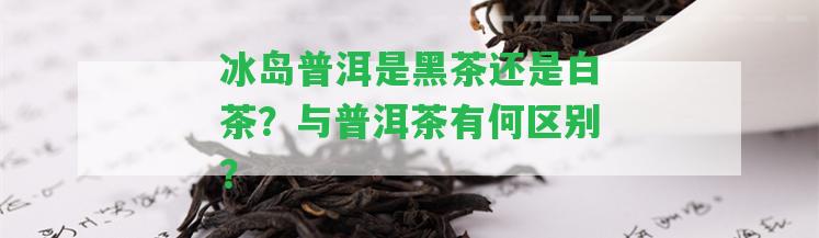 冰島普洱是黑茶還是白茶？與普洱茶有何區(qū)別？