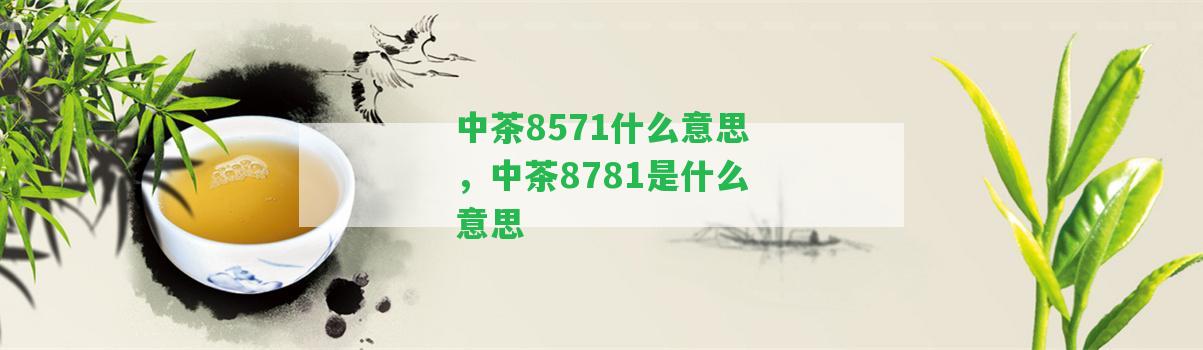 中茶8571什么意思，中茶8781是什么意思